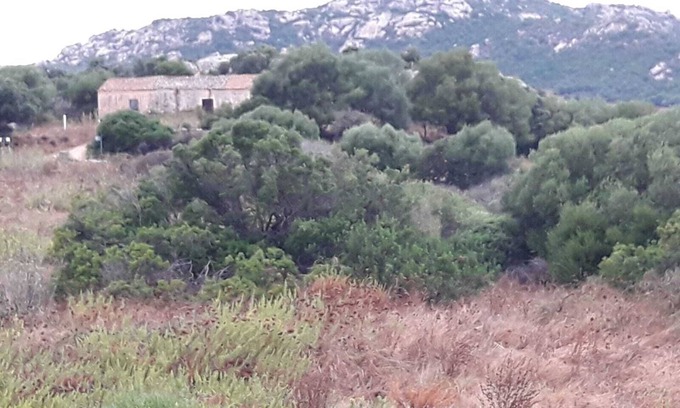 Cannigione House | Serene Countryside Retreat with Ocean Views near Costa Smeralda