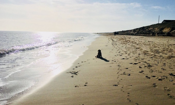 Winterton-on-Sea House | Dog-Friendly Fisherman’s Cottage Steps from the Beach