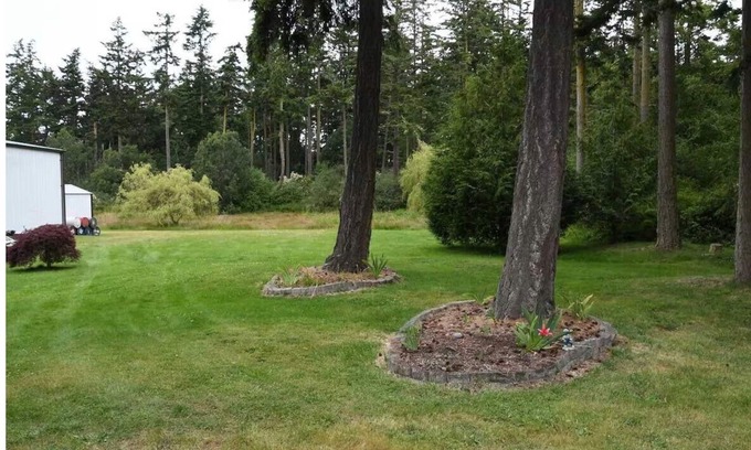 Oak Harbor House | Charming Family Friendly 3-bedroom home between Oak Harbor and Coupeville
