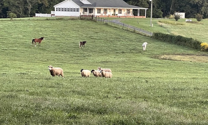 Mount Jackson Other | Inviting Farmhouse with Animal Encounters and Great Amenities