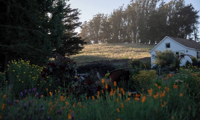 Petaluma Cottage | Inviting Farmhouse Retreat on Organic Cattle Ranch
