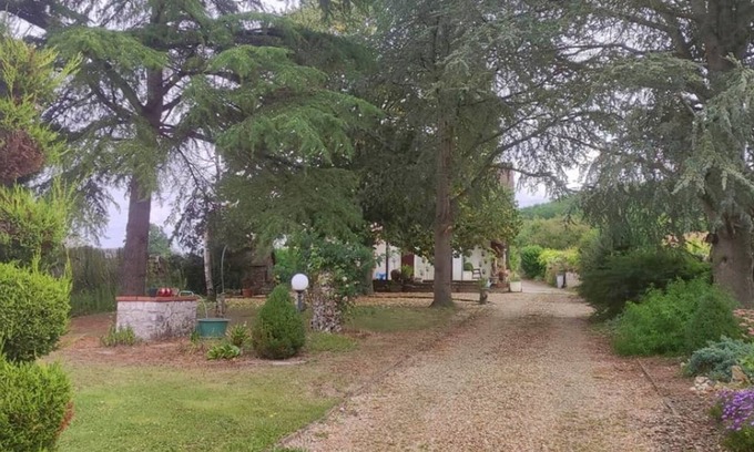 Couffy House | Eco-Friendly Gîte Near Beauval Zoo with Pool Access