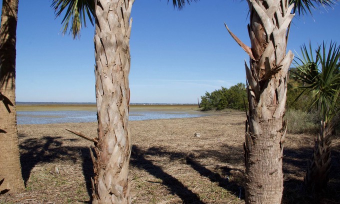 Isle of Palms House | Exclusive Retreat on Private Goat Island for Nature Lovers