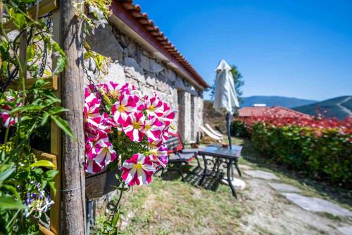 Mondim de Basto House | Cozy One Bedroom House with Pool & Garden in Vilar de Ferreiros