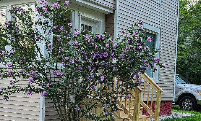 Albion House | Charming in Albion, MI