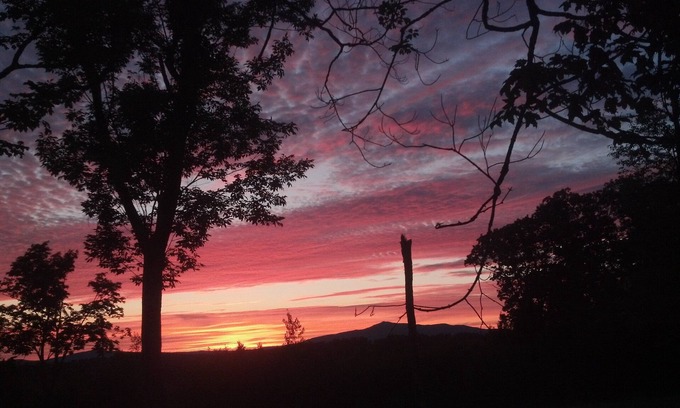 Rindge Cabin | Lakefront Cottage Retreat - Guest Rated 9.8 with Pool & View