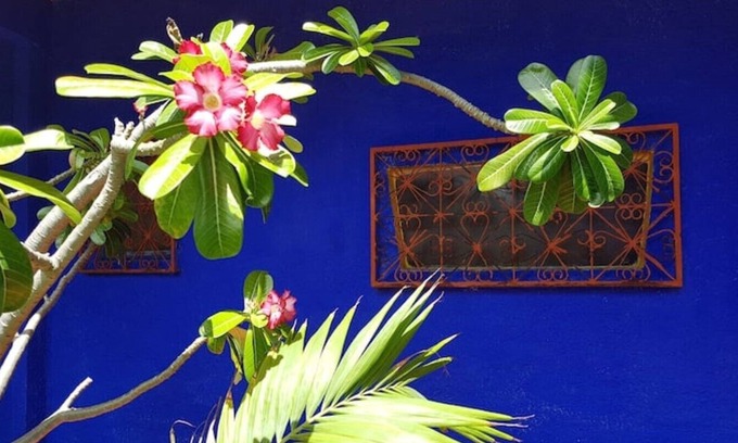 Canoa Quebrada House | Cozy Retreat in Tropical Garden with Fast Wi-Fi & Spa