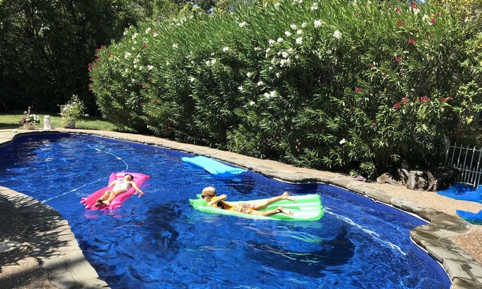 San Anselmo House | Idyllic Marin County Escape with Pool Near San Anselmo
