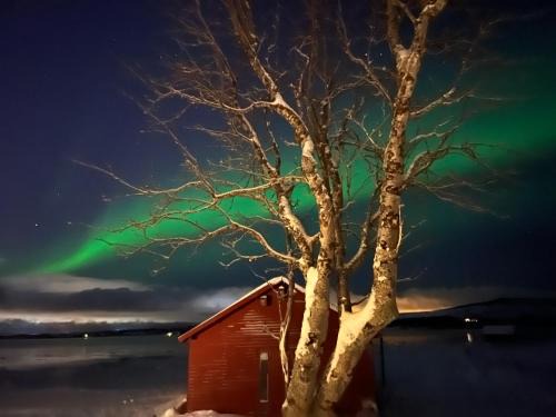 Kvaloya House | Cozy Sea-View Hotel in Tromsø with Family-Friendly Perks