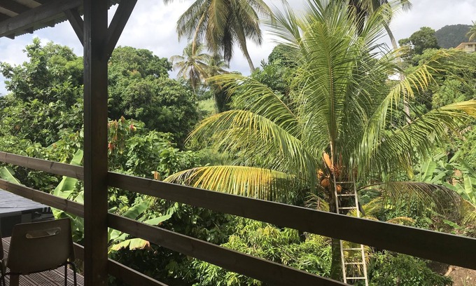Capesterre-Belle-Eau Apartment | Cozy Studio Oasis by the Ocean with Pool & Breakfast