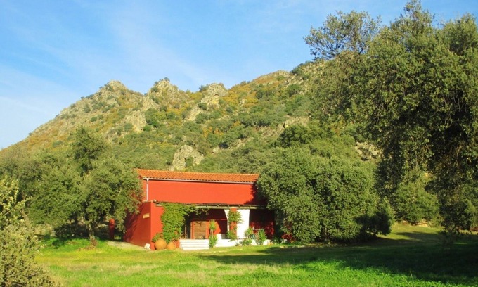 Albala Cottage | Tranquil Barn Retreat with Pool & Ocean View - 9.6/10 Rated
