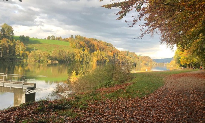 Ebikon Apartment | Cozy Studio Near Rotsee Lucerne with Kitchen & WiFi