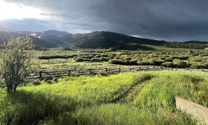 Polaris Cottage | Guest Rated 10/10: Swedish Cabin in Grasshopper Valley