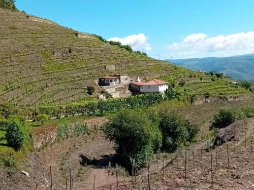 Lamego Villa | Elegant 3-Bedroom Villa with Private Pool & Enclosed Garden
