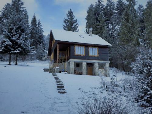 Vysne Ruzbachy Cabin | Top-Rated Chata FORESTINA: Family & Pet-Friendly Retreat
