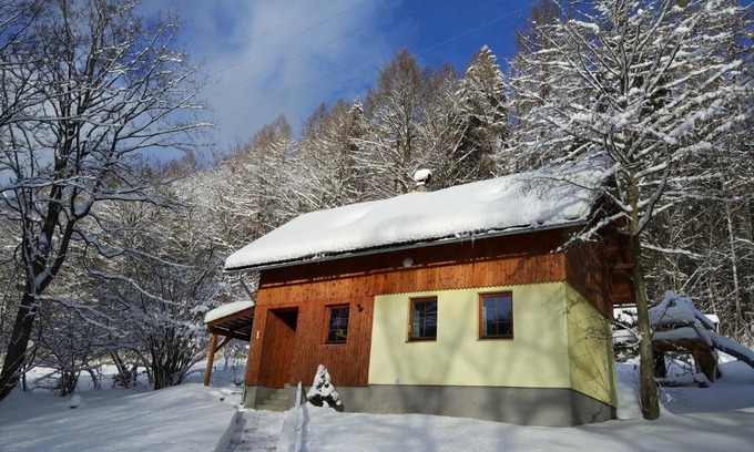 Loucna nad Desnou Apartment | Discover Comfort at Chata Koutík - Pet and Child Friendly!
