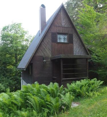 Cesky Dub Ski Chalet | Pet-Friendly Chata Milena: Guest Rated 10/10 Retreat
