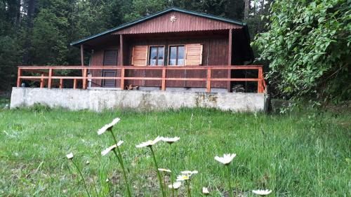 Lisov House | Discover Tranquil Chata - Na samotě u lesa Retreat