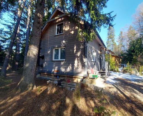 Tatranska Strba Ski Chalet | Pet-Friendly Chata pod zubačkou with Hot Tub & 9.9/10 Rating