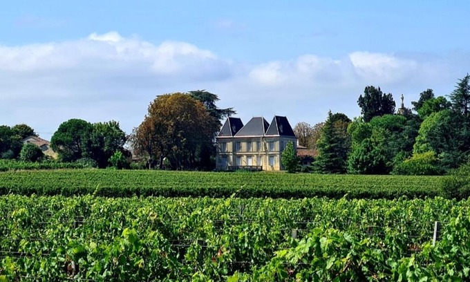 Bayon-sur-Gironde House | Experience Luxury at Chateau Tanesse de Tourny with Ocean Views
