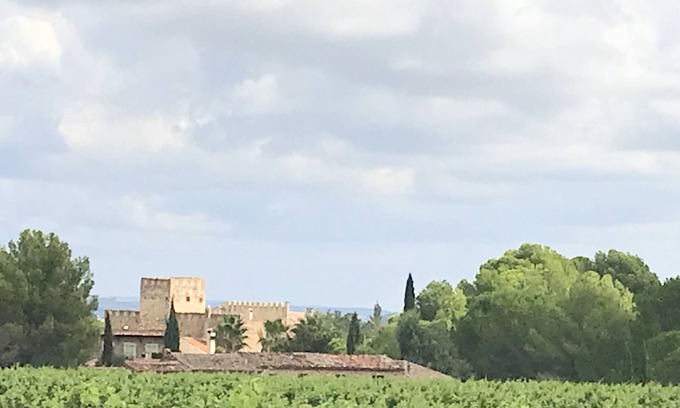 Cazouls-les-Beziers House | Idyllic Chateau with Pool in Scenic Vineyard Setting