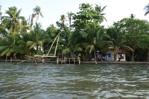 Kumbalam House | Oceanfront Cheenavala Fishing Homestay with Breakfast & Views