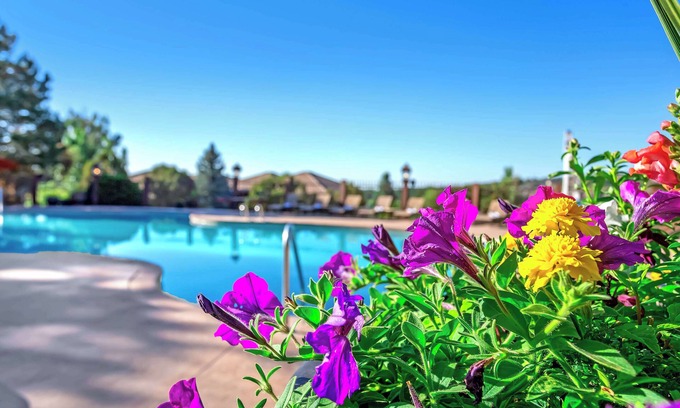 Southwest Colorado Springs Hotel | Elegant Cheyenne Mountain Resort with Spa & Ocean Views