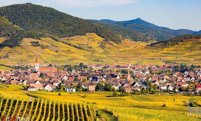 Ammerschwihr Apartment | Family-Friendly Retreat at Chez Florence Ammerschwihr