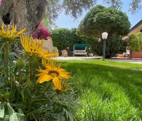 Citta del Mare Bed & Breakfast | Pet-Friendly Retreat at Chez Gigì with Ocean Views