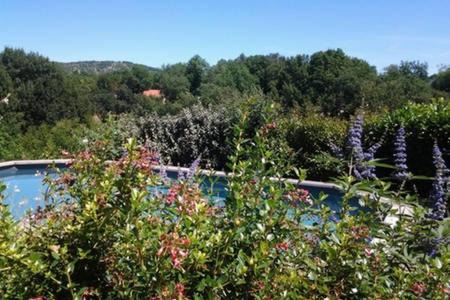 Cahors Apartment | Oceanfront Retreat at Chez Karine et Julien - Rated 9.1/10