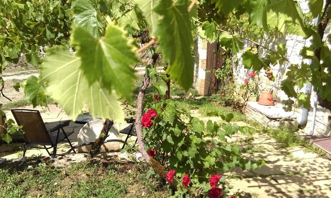 Floirac Bed & Breakfast | Delightful Chez Lavergne Table D'Hôtes with Family-Friendly Perks