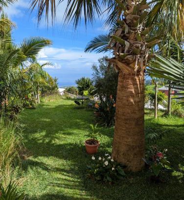 Trois-Bassins Apartment | Family-Friendly Escape at Les Palmiers with Top Reviews