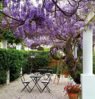 Les Issambres Hotel | Chez Louis