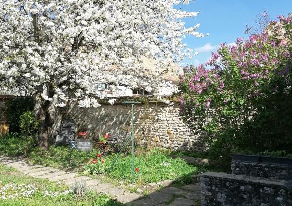 Soisy-sur-Ecole Apartment | Pet-Friendly Retreat at Chez Marylene - Guest Rated 8.7/10