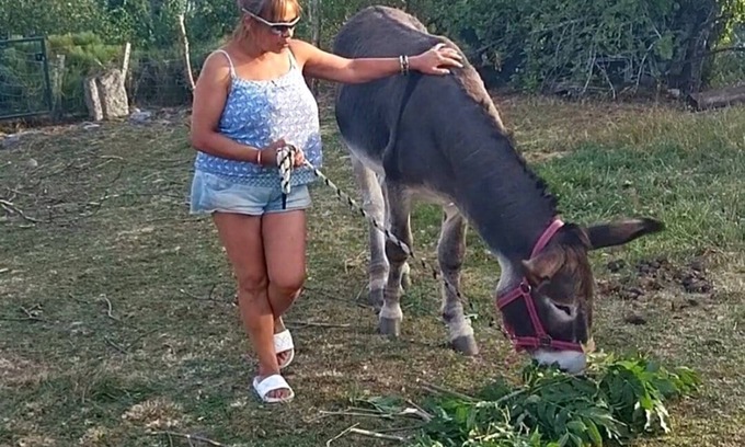 Rieutort-de-Randon House | CHEZ NIKI, escape to an oasis of nature in the heart of the Margeride!