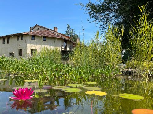 Samouillan House | Experience Oceanfront Relaxation at ChezLeMoulin Boulangerie