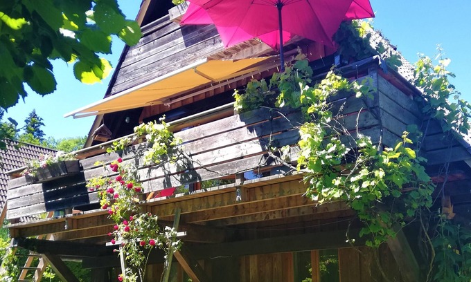 Feichten Ski Chalet | Tranquil Chiemgau Chalet with Private Garden & Pool