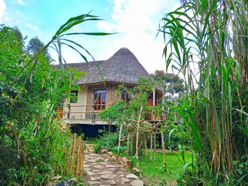 Kibale Resort | Discover Chimpanzee Capital Safari Lodge: Family-Friendly Stay