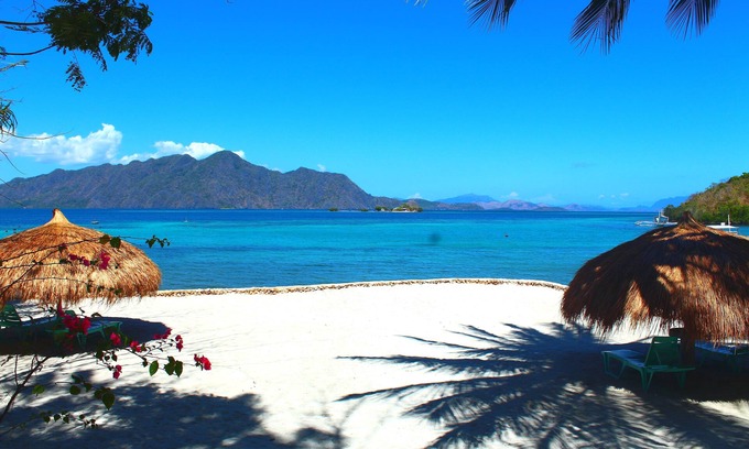 Coron Hotel | Discover Chindonan Dive Resort: Ocean Views & Pool Access