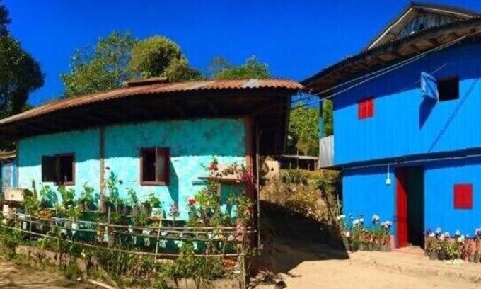 Ilam Other | Discover Chintapu Homestay in Scenic Ilam, Eastern Nepal