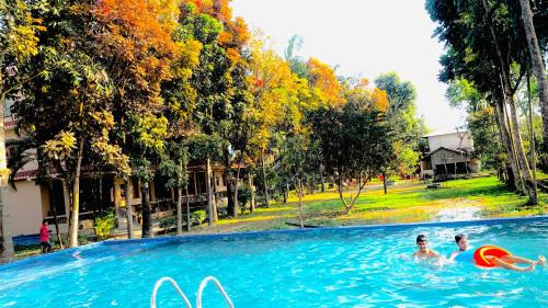 Sauraha Resort | Discover Chitwan Forest Resort: Poolside Retreat in Nature