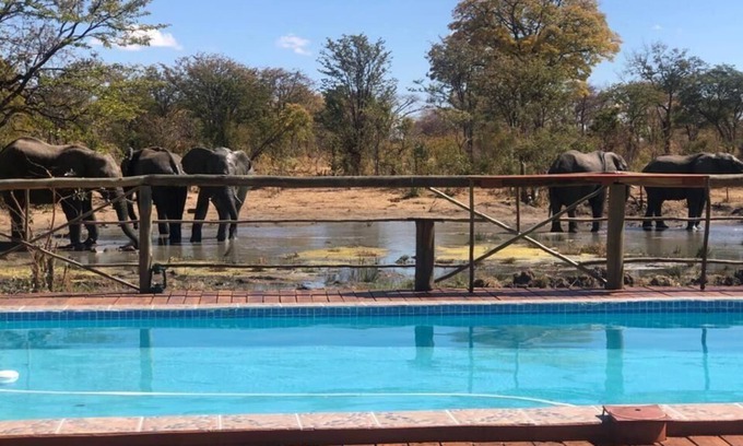 Chobe District Cabin | Discover Chobe Mupani Forest Lodge: Family-Friendly Retreat