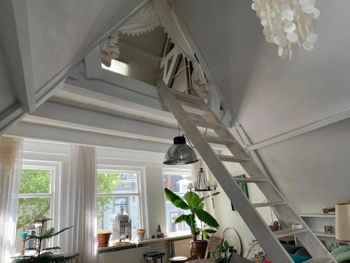 's-Hertogenbosch Bed & Breakfast | Choco Loca Loft: Pet-Friendly Retreat with Breakfast & Kitchen