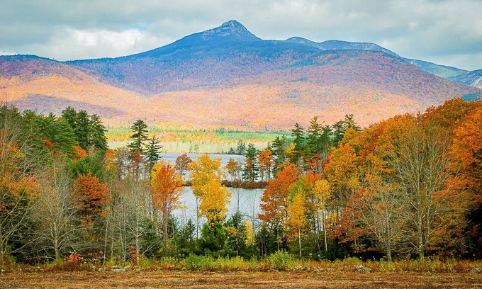Chocorua Cabin | Chocorua Lake Retreat: Private Swimming Area & Dog-Friendly!