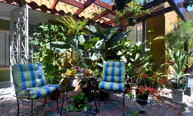 Molynes Gardens House | Experience Joy at Gardens of Blissett - Studio Apartment