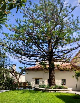 Agia House | Outstanding Chorio House Platanias with Family-Friendly Dining