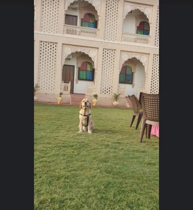 Railway Quarters Hotel | Chouhan Palace