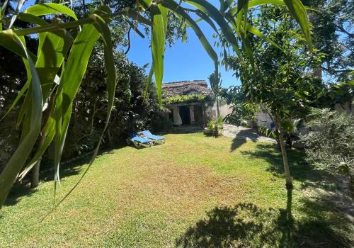 El Palmar House | Beachside Retreat: Chozito de Paja Near Mangueta Beach