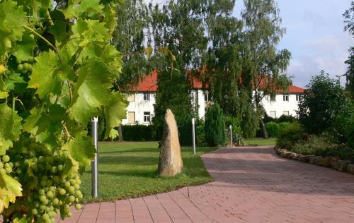 Neustadt-Lachen-Speyerdorf Hotel | Scenic Christliche Gästehäuser Weinstraße with Ocean Views