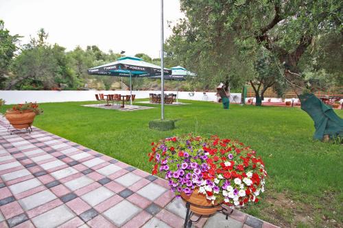 Neos Marmaras House | Pet-Friendly Christos House with Ocean Views & 10/10 Rating